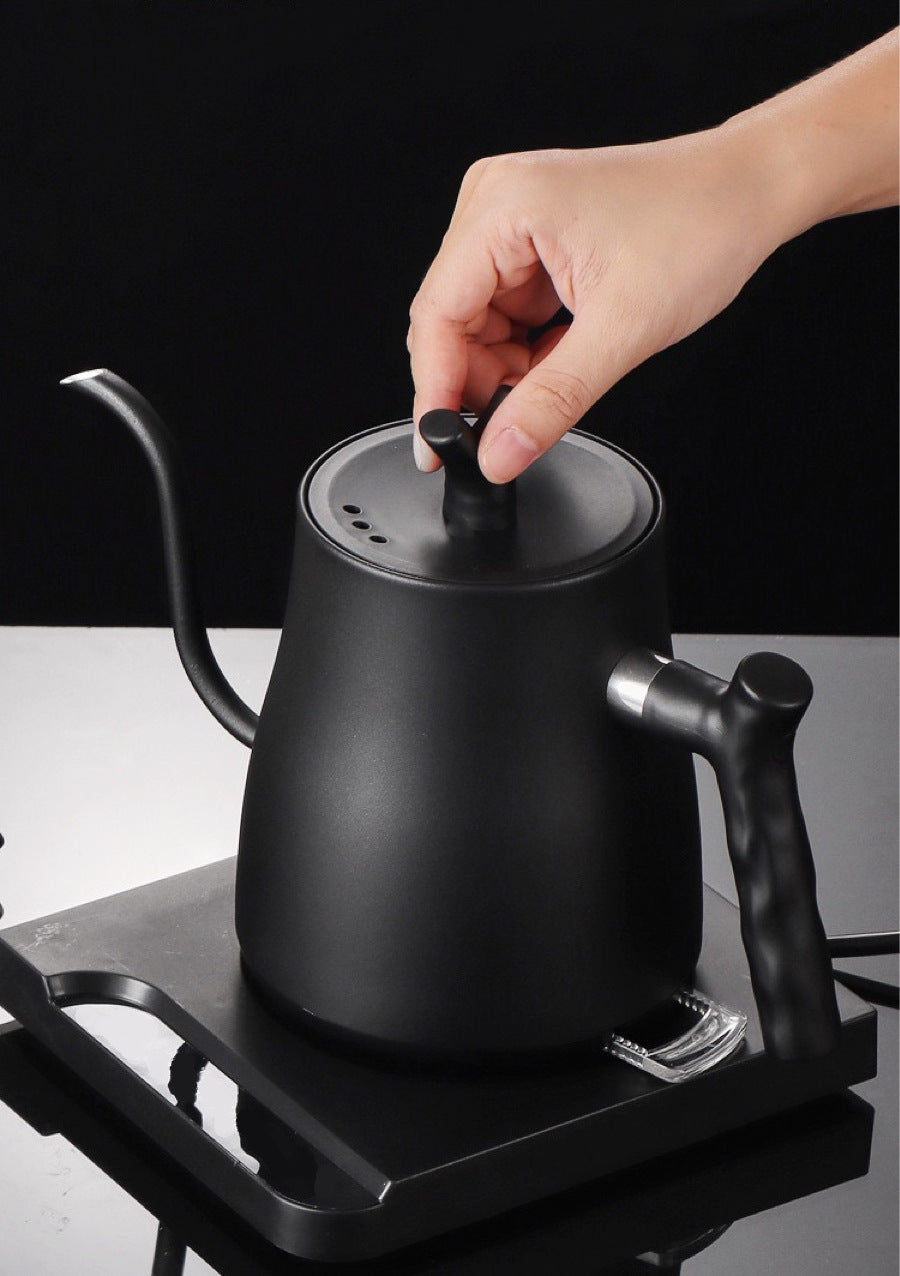 Pour-over Electric Kettle Gooseneck Kettle for Coffee and Tea 1000W Black 1L